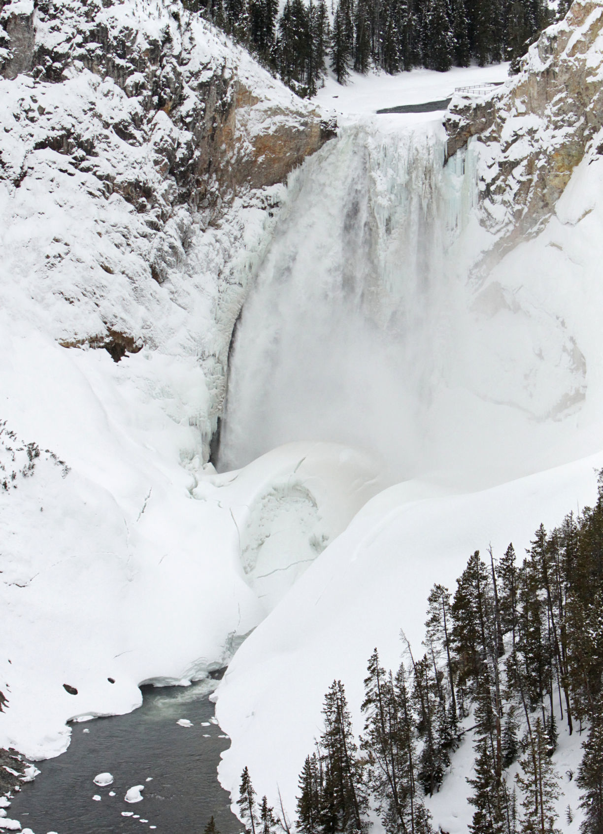 Lower Falls of the Yellowstone